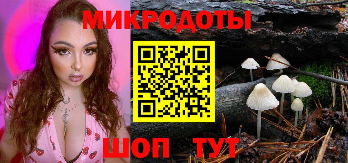 Галлюциногенные грибы Magic Shrooms Карпинск