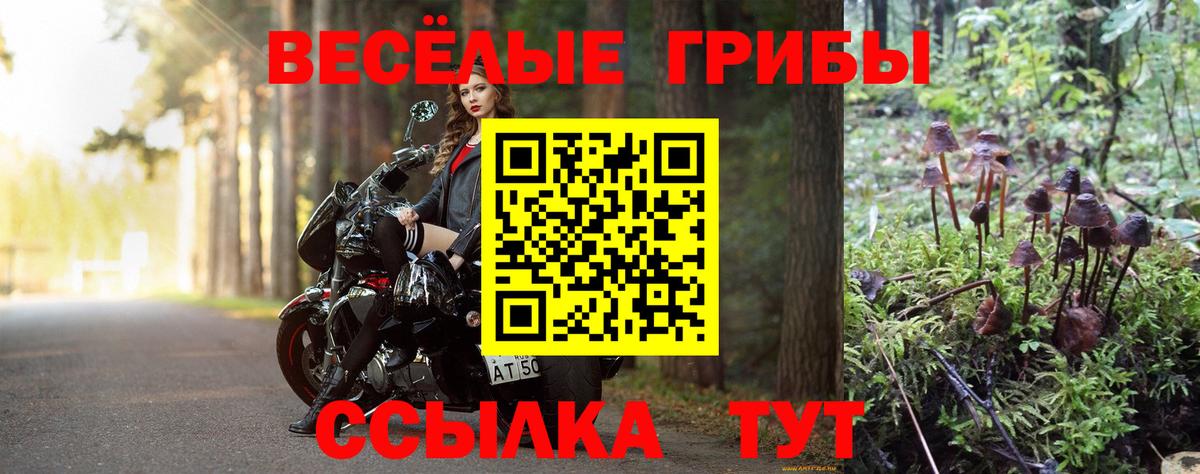 Псилоцибиновые грибы ЛСД  Галлюциногенные грибы Psilocybe  Вход с VPN  Карпинск 